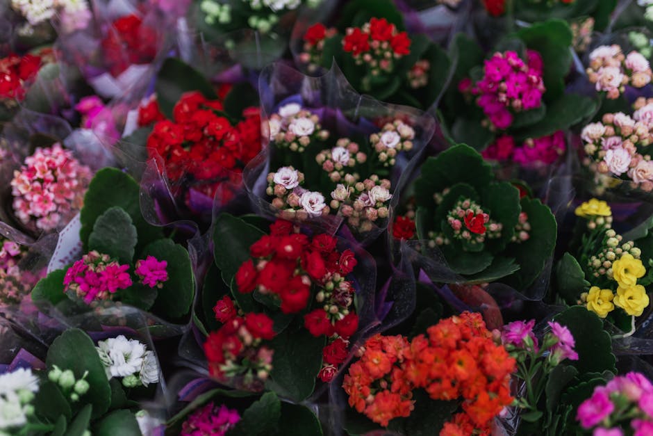 A beautiful collection of colorful flowers in full bloom, showcasing vibrant petals and lush greenery.